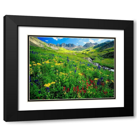 Spring is graced with American Basin wildflowers in the Colorado Rocky Mountains Black Modern Wood Framed Art Print with Double Matting by SMO