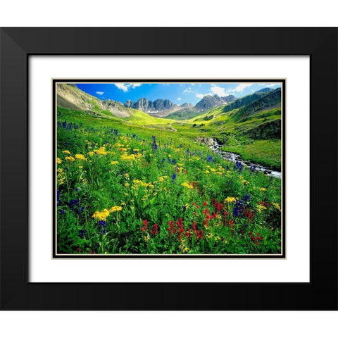 Spring is graced with American Basin wildflowers in the Colorado Rocky Mountains Black Modern Wood Framed Art Print with Double Matting by SMO