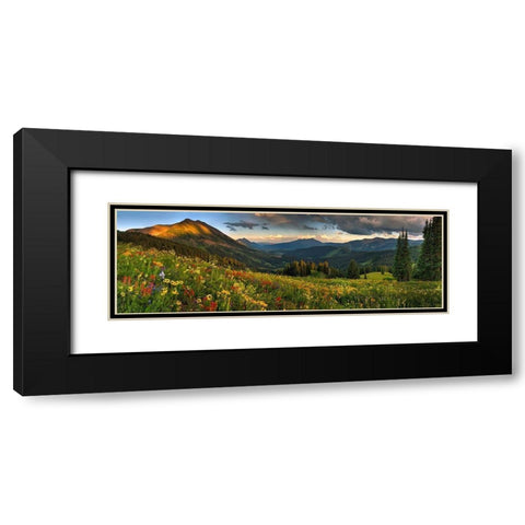 Colorado-Crested Butte-wildflowers Black Modern Wood Framed Art Print with Double Matting by SMO