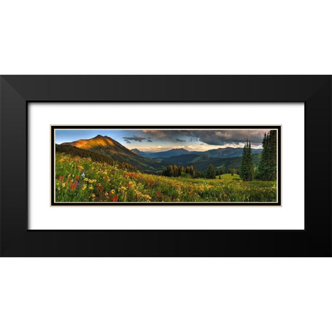 Colorado-Crested Butte-wildflowers Black Modern Wood Framed Art Print with Double Matting by SMO