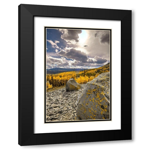 A valley of gold Aspen on Ohio Pass in the Colorado Rocky Mountains near Crested Butte Black Modern Wood Framed Art Print with Double Matting by SMO