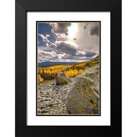 A valley of gold Aspen on Ohio Pass in the Colorado Rocky Mountains near Crested Butte Black Modern Wood Framed Art Print with Double Matting by SMO