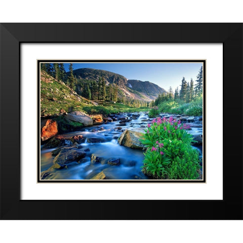 Fresh Rocky Mountain spring runoff cascades past wildflowers in bloom Black Modern Wood Framed Art Print with Double Matting by SMO