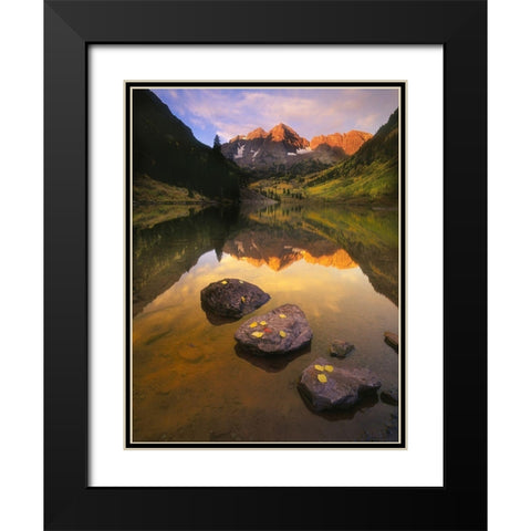 Aspen leaves signify the end of Fall and the beginning of winter at the maroon bells Black Modern Wood Framed Art Print with Double Matting by SMO