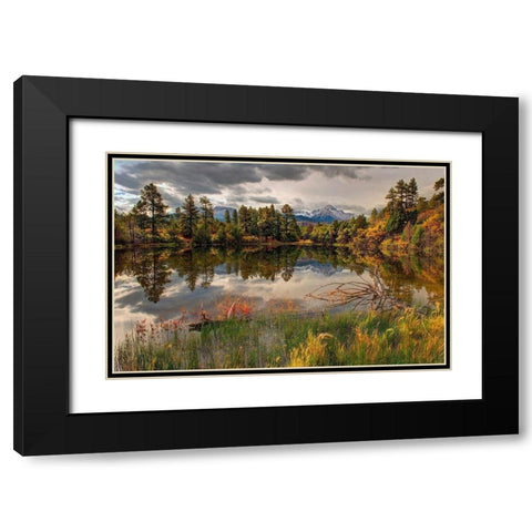 A tranquil pond reflects Mt Snaffles and Fall in the Colorado Rocky Mountains Black Modern Wood Framed Art Print with Double Matting by SMO