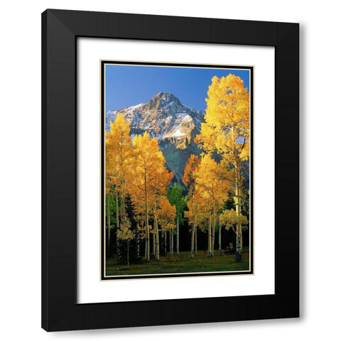 A mountain actually named unnamed 13334 flanked by Fall Aspen trees in the Colorado Rocky Mountains Black Modern Wood Framed Art Print with Double Matting by SMO