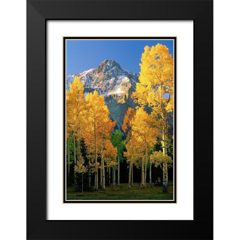 A mountain actually named unnamed 13334 flanked by Fall Aspen trees in the Colorado Rocky Mountains Black Modern Wood Framed Art Print with Double Matting by SMO