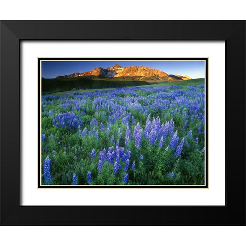 Wilson Peak near Telluride in the Colorado Rocky Mountains Black Modern Wood Framed Art Print with Double Matting by SMO