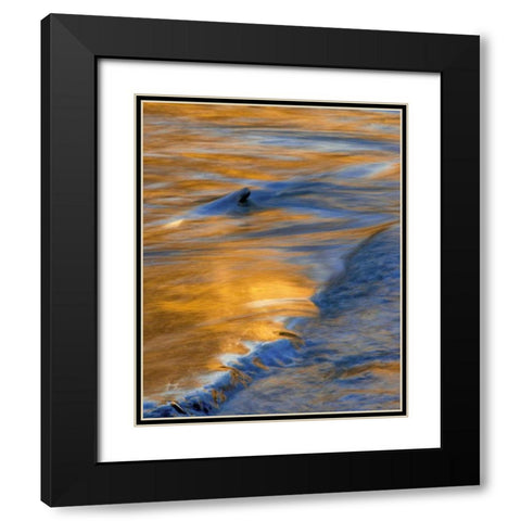 PA, Delaware Water Gap National Recreational Area Black Modern Wood Framed Art Print with Double Matting by OBrien, Jay