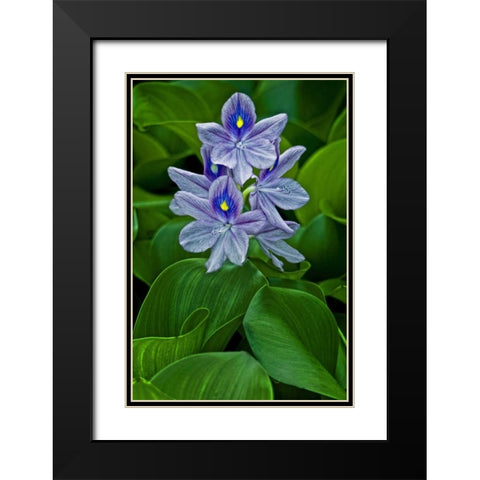 USA, Delaware, Wilmington Black Modern Wood Framed Art Print with Double Matting by OBrien, Jay