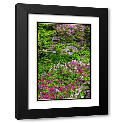Delaware, Wilmington Flower abound in garden Black Modern Wood Framed Art Print with Double Matting by OBrien, Jay