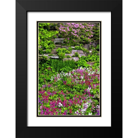 Delaware, Wilmington Flower abound in garden Black Modern Wood Framed Art Print with Double Matting by OBrien, Jay