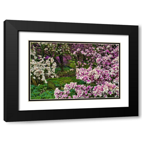 Delaware, Wilmington Flower and trees in garden Black Modern Wood Framed Art Print with Double Matting by OBrien, Jay