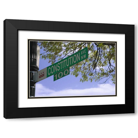Washington DC, Constitution Ave street sign Black Modern Wood Framed Art Print with Double Matting by Flaherty, Dennis