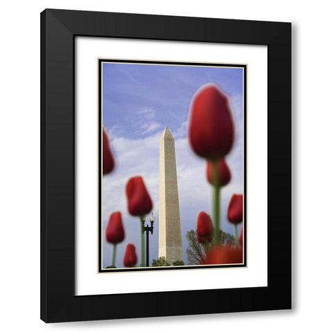 Washington DC, The Washington Monument Black Modern Wood Framed Art Print with Double Matting by Flaherty, Dennis