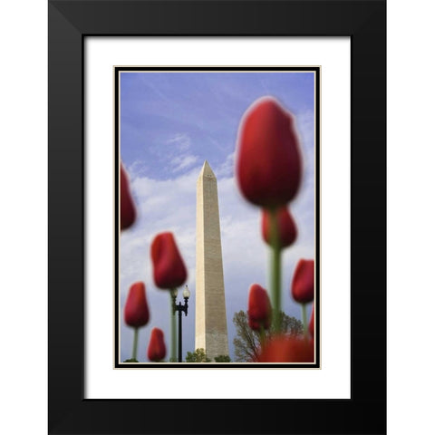 Washington DC, The Washington Monument Black Modern Wood Framed Art Print with Double Matting by Flaherty, Dennis