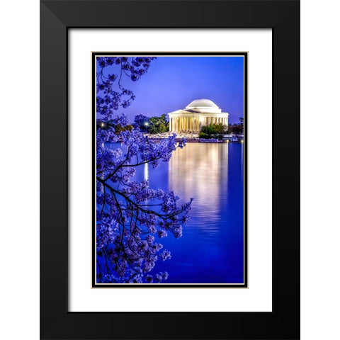 The Jefferson Memorial with cherry blossoms at the Tidal Basin-Washington DC Black Modern Wood Framed Art Print with Double Matting by Perry, William