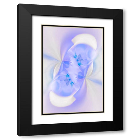 White Orchid flower-Florida Black Modern Wood Framed Art Print with Double Matting by Jones, Adam