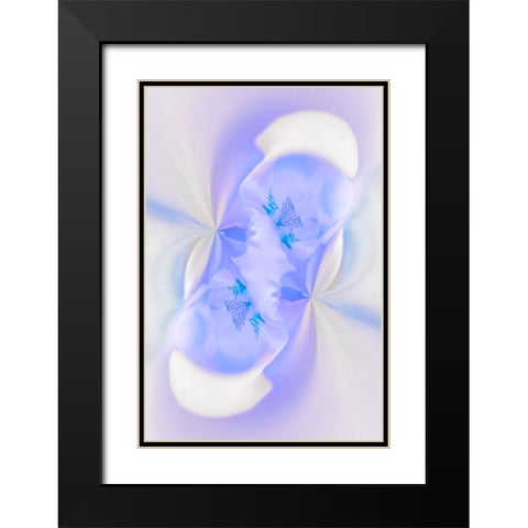 White Orchid flower-Florida Black Modern Wood Framed Art Print with Double Matting by Jones, Adam