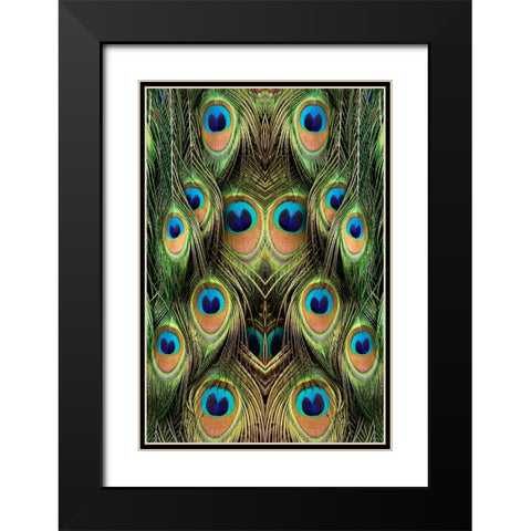 Male Peafowl feather pattern-Florida Black Modern Wood Framed Art Print with Double Matting by Jones, Adam