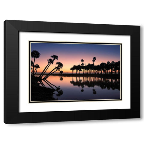 Sable palms silhouetted at sunrise on the Econlockhatchee River Black Modern Wood Framed Art Print with Double Matting by Jones, Adam