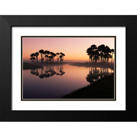 Sable palms silhouetted at sunrise on the Econlockhatchee River Black Modern Wood Framed Art Print with Double Matting by Jones, Adam