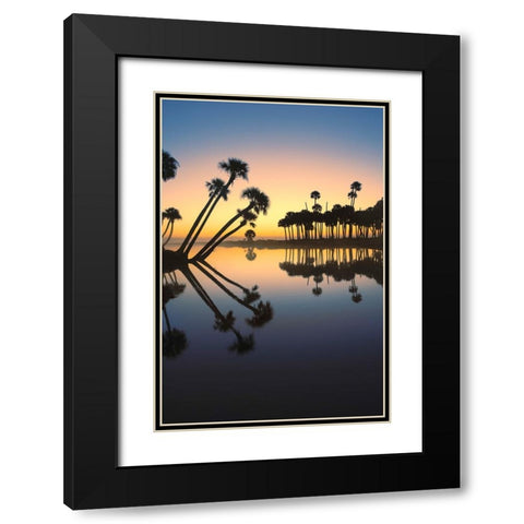 Sable palms silhouetted at sunrise on the Econlockhatchee River Black Modern Wood Framed Art Print with Double Matting by Jones, Adam
