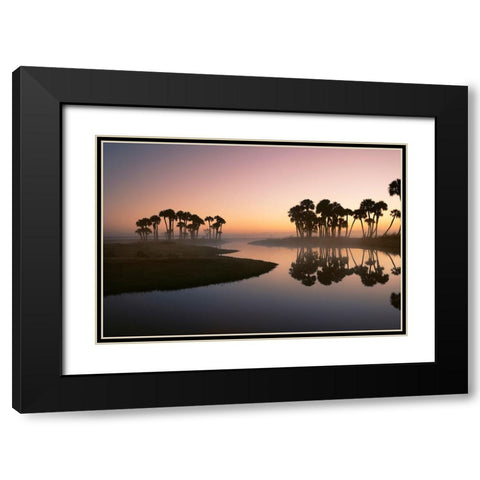 Sable palms silhouetted at sunrise on the Econlockhatchee River Black Modern Wood Framed Art Print with Double Matting by Jones, Adam