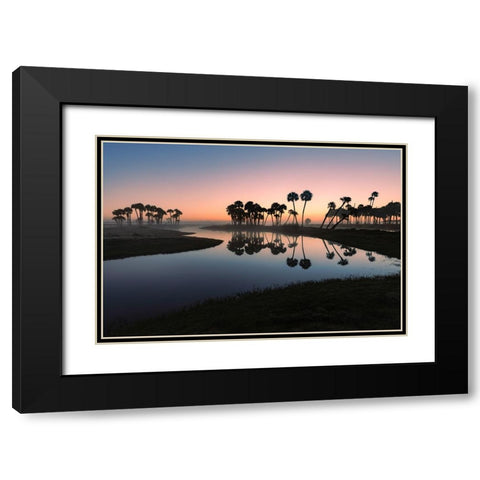 Sable palms silhouetted at sunrise on the Econlockhatchee River Black Modern Wood Framed Art Print with Double Matting by Jones, Adam