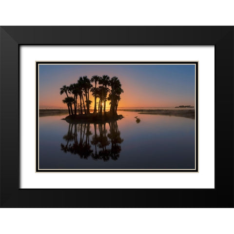 Sable palms silhouetted at sunrise on the Econlockhatchee River Black Modern Wood Framed Art Print with Double Matting by Jones, Adam