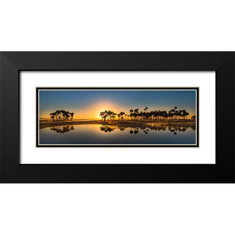 Sable palms silhouetted at sunrise on the Econlockhatchee River Black Modern Wood Framed Art Print with Double Matting by Jones, Adam