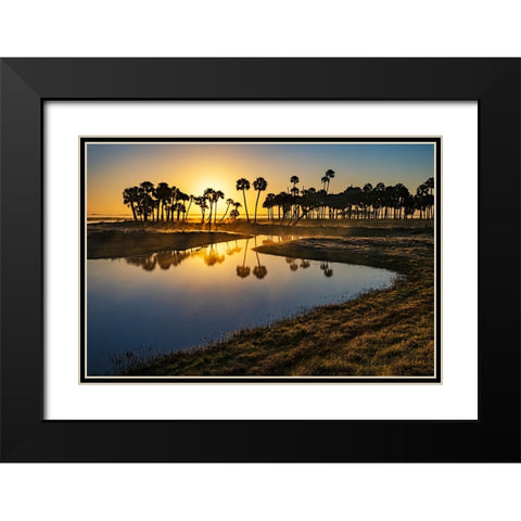 Sable palms silhouetted at sunrise on the Econlockhatchee River Black Modern Wood Framed Art Print with Double Matting by Jones, Adam