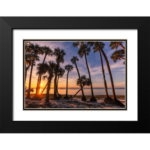 Sable palm tree silhouetted along shoreline of Harney Lake at sunset-Florida Black Modern Wood Framed Art Print with Double Matting by Jones, Adam