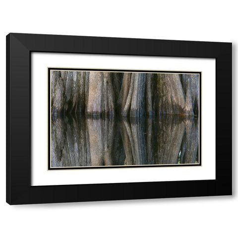 Pattern of cypress trees reflecting on blackwater area of St Johns River-central Florida Black Modern Wood Framed Art Print with Double Matting by Jones, Adam