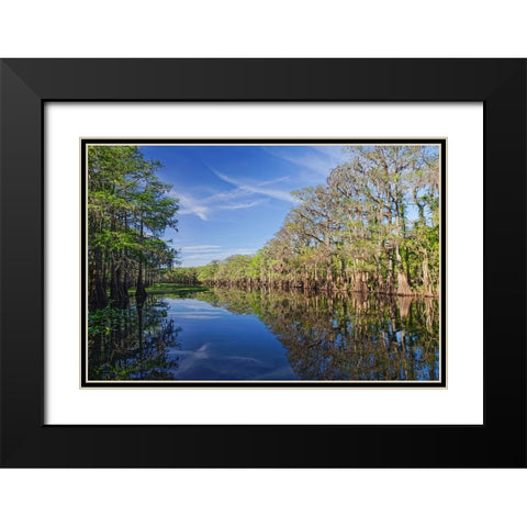 Early spring view of cypress trees reflecting on blackwater area of St Johns River-central Florida Black Modern Wood Framed Art Print with Double Matting by Jones, Adam