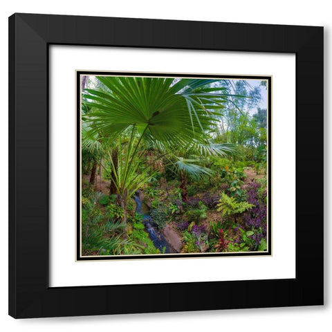 Florida-Tropical Garden with Palm Frond Black Modern Wood Framed Art Print with Double Matting by Miller, Anna
