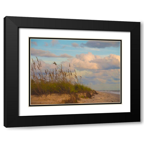 Beach-Sanibel Island-Florida-USA Black Modern Wood Framed Art Print with Double Matting by Miller, Anna