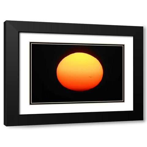 FL, Ft Myers Silhouette of bird flying Black Modern Wood Framed Art Print with Double Matting by Morris, Arthur