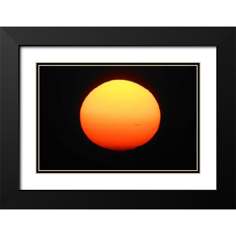 FL, Ft Myers Silhouette of bird flying Black Modern Wood Framed Art Print with Double Matting by Morris, Arthur