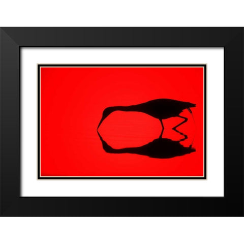 FL, Ding Darling NWR Silhouette of a heron Black Modern Wood Framed Art Print with Double Matting by Morris, Arthur