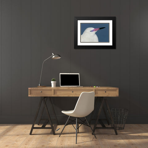 FL, Little Estero Lagoon Reddish egret Black Modern Wood Framed Art Print with Double Matting by Morris, Arthur