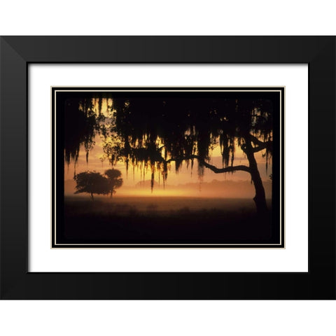 FL, Lake Kissimmee Sunrise silhouette of trees Black Modern Wood Framed Art Print with Double Matting by Williams, Joanne