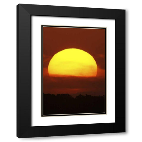 FL, Vierra Wetlands Giant sun at sunset Black Modern Wood Framed Art Print with Double Matting by Morris, Arthur