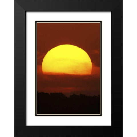 FL, Vierra Wetlands Giant sun at sunset Black Modern Wood Framed Art Print with Double Matting by Morris, Arthur