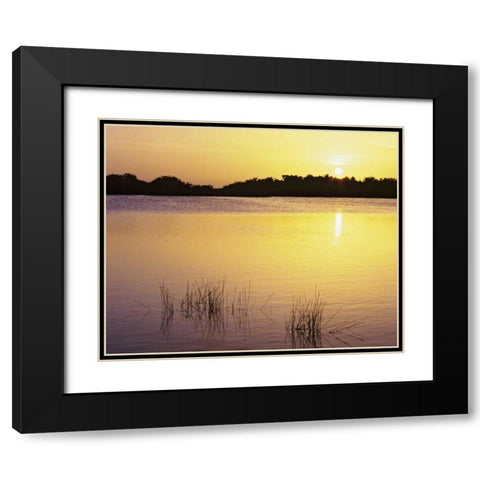 Florida, Everglades NP Sunset reflection on lake Black Modern Wood Framed Art Print with Double Matting by Flaherty, Dennis