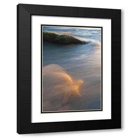 USA, Florida, St Augustine Black Modern Wood Framed Art Print with Double Matting by Rotenberg, Nancy