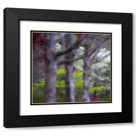 GA, Impressionistic trees and flowering bushes Black Modern Wood Framed Art Print with Double Matting by Rotenberg, Nancy