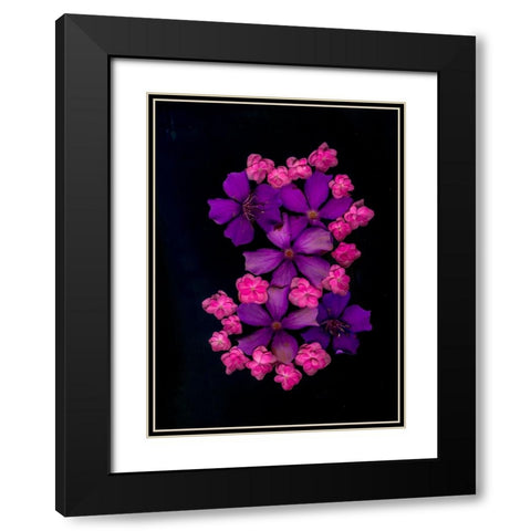 USA-Florida-Celebration-A bouquet of flowers Black Modern Wood Framed Art Print with Double Matting by Looney, Hollice