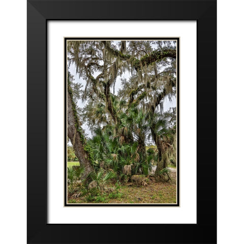 USA-Florida-Sarasota-Myakka River State Park Black Modern Wood Framed Art Print with Double Matting by Looney, Hollice