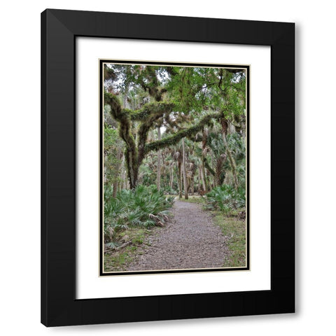 USA-Florida-Sarasota-Myakka River State Park Black Modern Wood Framed Art Print with Double Matting by Looney, Hollice